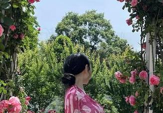 微密圈 – 左公子666里青蛙蹲：清新高清图集送给那些可爱的心灵